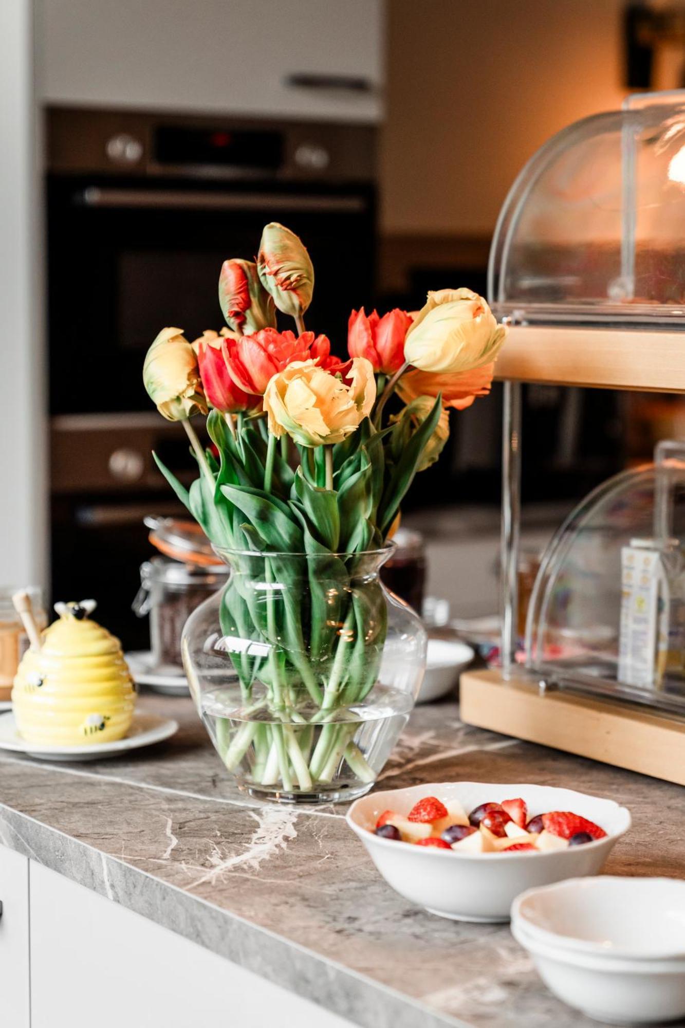De Logerie Bed and Breakfast Enkhuizen Εξωτερικό φωτογραφία