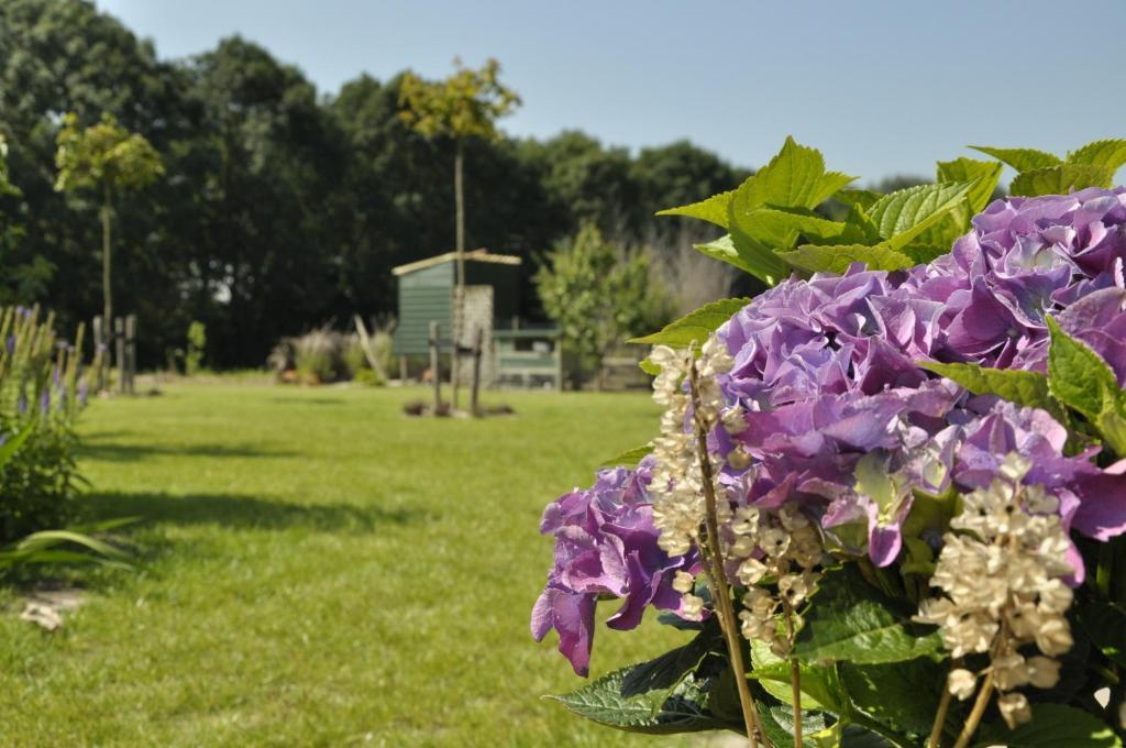 De Logerie Bed and Breakfast Enkhuizen Εξωτερικό φωτογραφία